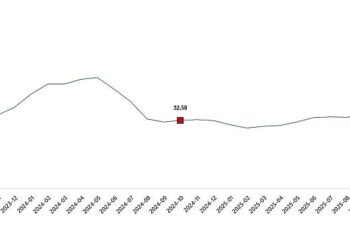 Tarımsal Girdi Fiyat Endeksi, Ekim 2025