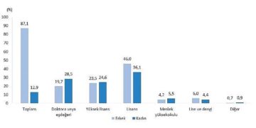 Teknogirişim Araştırması, 2024
