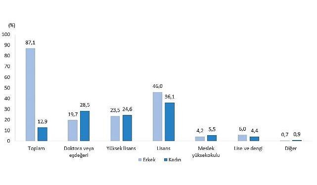 Teknogirişim Araştırması, 2024