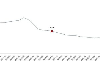 Tüketici Fiyat Endeksi, Kasım 2025