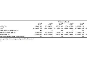 Turizm Uydu Hesabı, 2024