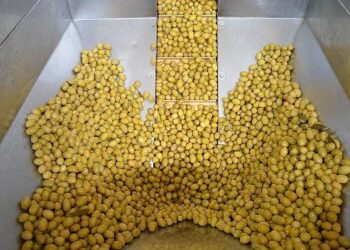 Zeytin ve zeytinyağı sektöründe güçler URGE Projesi’nde birleştirilecek