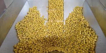 Zeytin ve zeytinyağı sektöründe güçler URGE Projesi’nde birleştirilecek