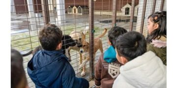 86 bin tedavi, 13 bin kısırlaştırma