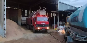Alanya’da Palet Fabrikasında Yangın