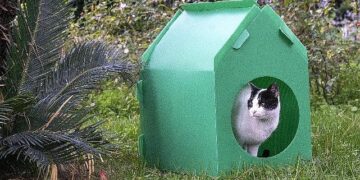 Başkan Tugay söz verdi, kediler sıcak yuvalarına kavuştu