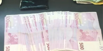 Türklerin uyanıklığı pahalıya patladı! Binlerce euro ve çil çil altına el konuldu