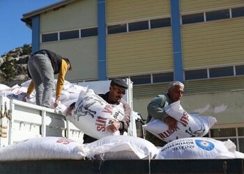 Büyükşehir’den 2025 yılında hayvancılığa 503 bin 625 kg yem desteği