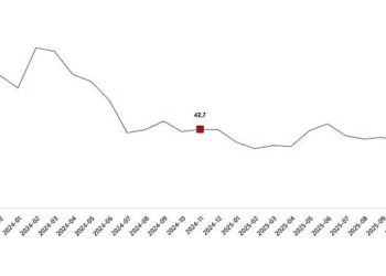 Ciro Endeksleri, Kasım 2025