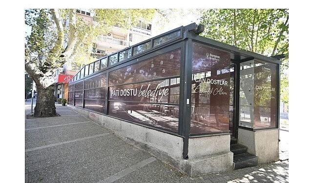 Eros Kedi Kliniği Bornova’da umut merkezi oldu