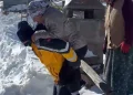 Kar kış demeden evlerdeki hastalara ulaşıyorlar