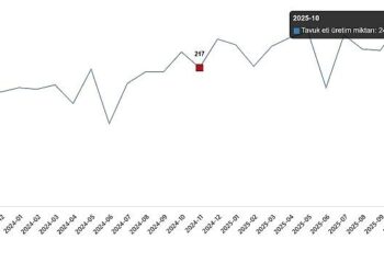 Kümes Hayvancılığı Üretimi, Kasım 2025