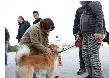 Mavişehir Mahallesi’nde Büyük Dönüşüm Devam Ediyor