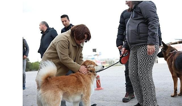 Mavişehir Mahallesi’nde Büyük Dönüşüm Devam Ediyor