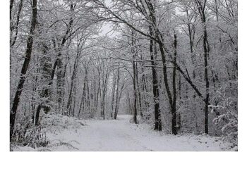 Ormanya’da kartpostallık kış manzaraları