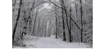 Ormanya’da kartpostallık kış manzaraları