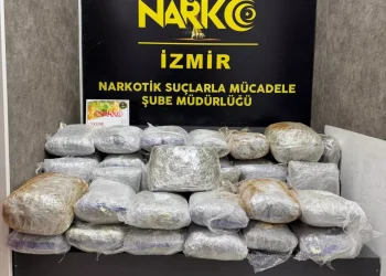 Otomobilden 65 kilo skunk çıktı; 1 tutuklama