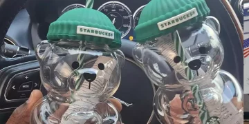 Kahve zincirinde “ayı kupa” çılgınlığı