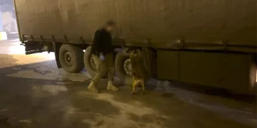TIR’daki 51 kilo esrarı ‘Mailo’ buldu