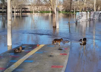 Edirne Nehirlerinde Debi Değişimleri