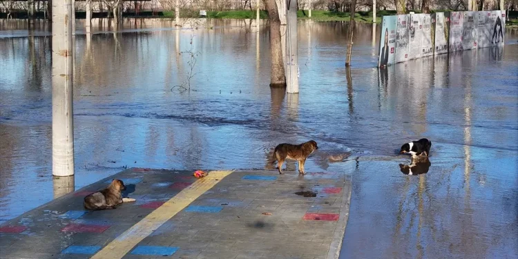Edirne Nehirlerinde Debi Değişimleri