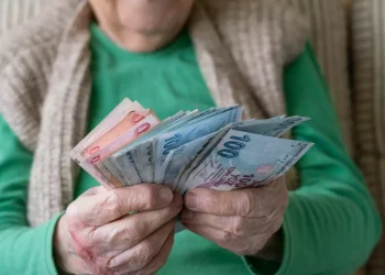 Vatandaşlık maaşında detaylar netleşti! İşte yardım yapılacak kalemler