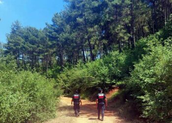 Muğla’da ormanlara giriş yasağı